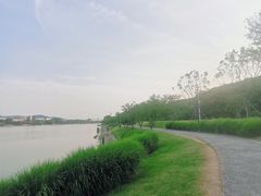 -羊山湖公园