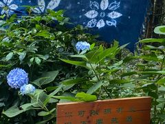 -寂照庵