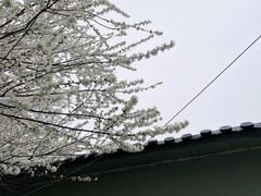 -花园口旅游区