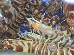 -金苑海鲜酒家(来魅力店)