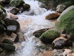 -火炉山森林公园