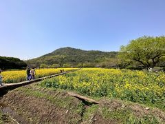 -八卦田遗址公园