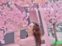 -金茂览秀城