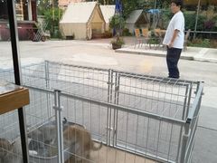 -奉天宴遇烧烤·冒锅