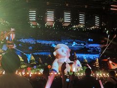 -福建省奥林匹克体育中心-体育馆