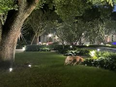 -杭州香格里拉·香宫中餐厅