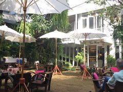 -Fern Forest Cafe