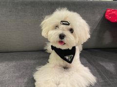 -美罗百货(观前店)