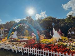 -上海共青森林公园