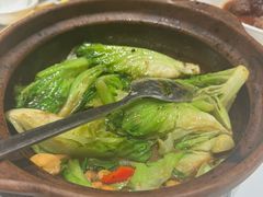 啫啫生菜煲-陶陶居酒家(新天地店)