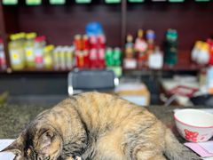 -协和菜馆(凤凰街店)