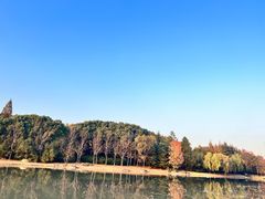 -上海滨江森林公园