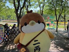-江苏三台山国家森林公园