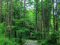 -长白岛森林公园