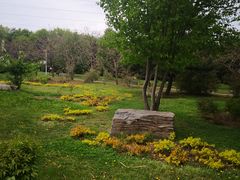 -黑龙江省森林植物园