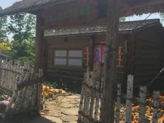 -武清南湖绿博园