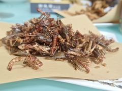 -新味都博山菜