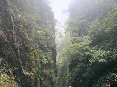 -峨眉山风景名胜区