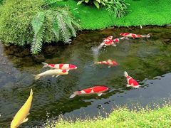 -罗红摄影艺术馆