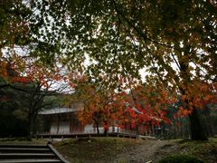 -醍醐寺