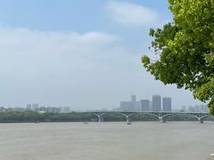 -杜甫江阁