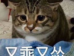 -海底捞火锅(北京路店)