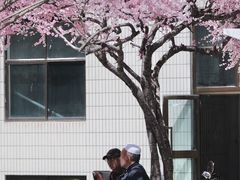 -西宁市东关清真大寺
