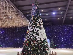 -宁波冰雪大世界(北仑区)