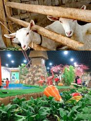 点击看大图 -可可天空农场(中大店)