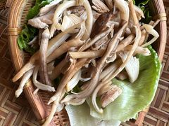 -滇野云南野生菌餐厅(陕西南路店)
