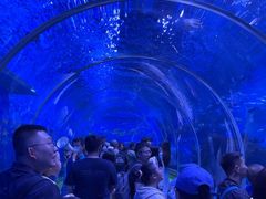 -石家庄极地海洋世界