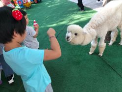 -萌宠亲子动物乐园(槐房万达店)