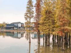 -白鹭湾湿地公园