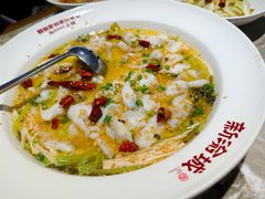 -新渝城·川菜·火锅(区庄店)