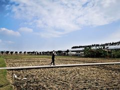 -迪茵湖田家舍生态农场