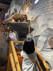 -Zoolung Zoolung动物主题公园(海信广场店)