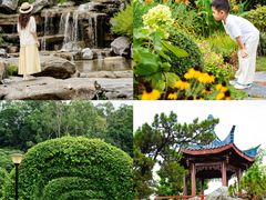 -东莞植物园