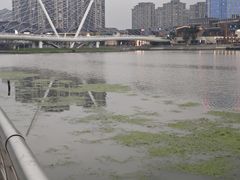 -映月湖中央公园