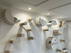 -楼上猫咖(罗湖店)