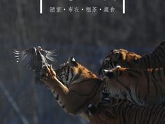 -横道河子东北虎林园