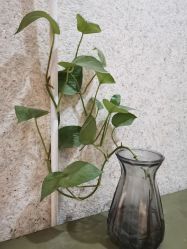 -无界瑜伽普拉提