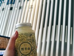 -野萃山·潮汕厚果汁(十亩地店)
