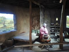 -国家自然博物馆