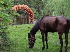 -溪口-滕头旅游景区