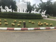 -清迈夜间动物园