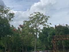 -上海海湾国家森林公园