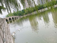 -迎泽公园