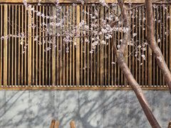 -三里河公园