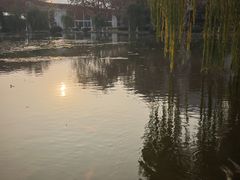 -上海第二工业大学(金海路校区)