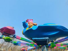 -朝阳公园游乐园